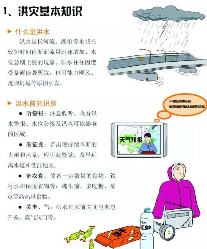 最新洪水,最新洪水，挑战与应对策略