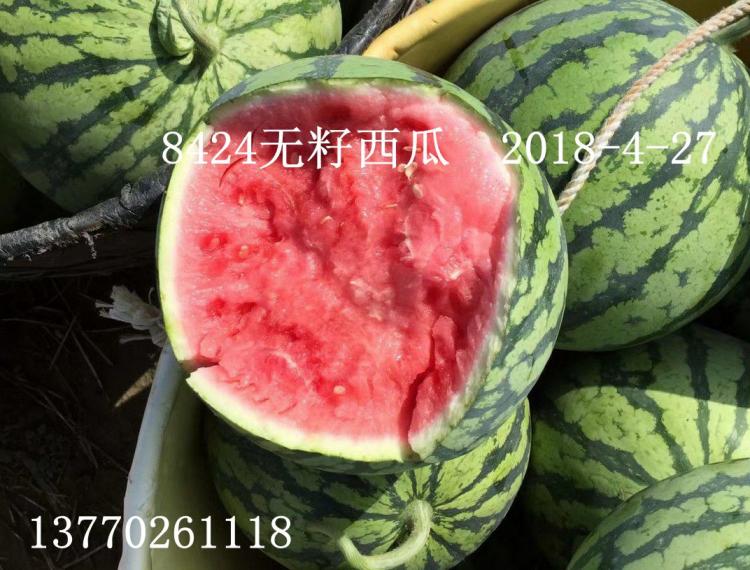 西瓜价格最新行情,西瓜价格最新行情分析