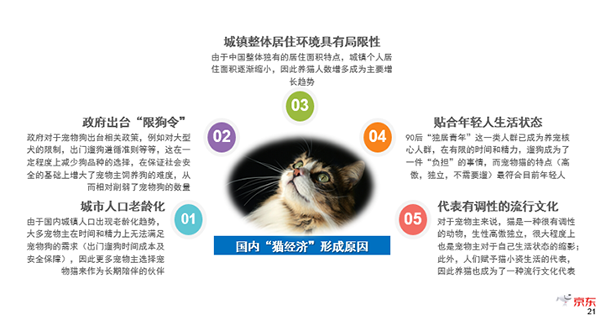 猫咪网最新,猫咪网最新动态，探索新时代的宠物生态