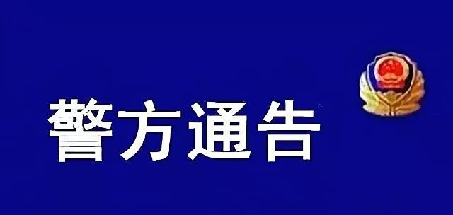 新澳资料免费大全,关于新澳资料免费大全的探讨，违法犯罪问题的警示与反思