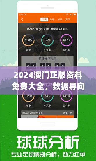 新澳六开奖结果资料查询,新澳六开奖结果资料查询，探索与解析