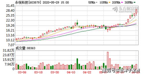 新澳今天最新资料2024年开奖,新澳最新开奖资料与未来展望，2024年展望