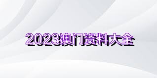 新澳门资料大全正版资料2023,新澳门资料大全正版资料2023——警惕背后的风险与挑战