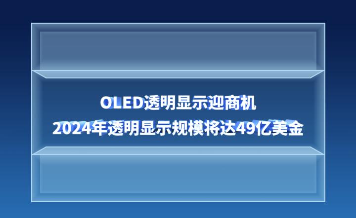 2024十二生肖49码表,揭秘2024十二生肖与数字彩票的奥秘，十二生肖49码表全解析