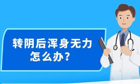 新澳精准资料免费提供305,新澳精准资料免费提供，探索与分享305数据背后的故事