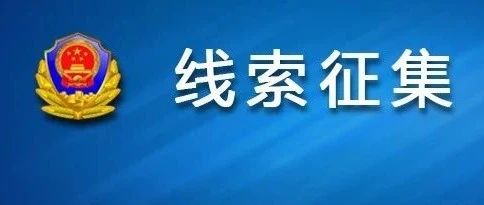 澳门正版资料免费大全新闻——揭示违法犯罪问题,澳门正版资料免费大全新闻——深度揭示违法犯罪问题