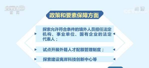 2024澳门特马今晚开,澳门特马今晚开，探索运气与策略的双重魅力