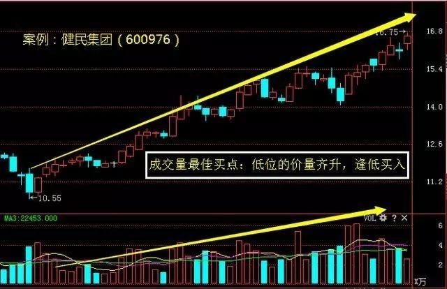 2025年1月11日 第21页