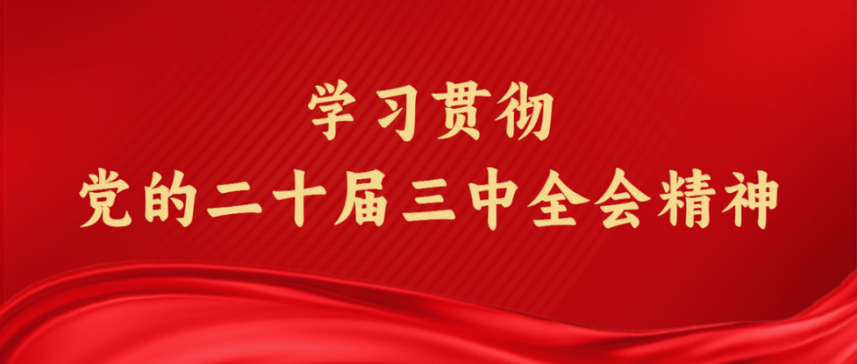 2025年1月14日 第43页