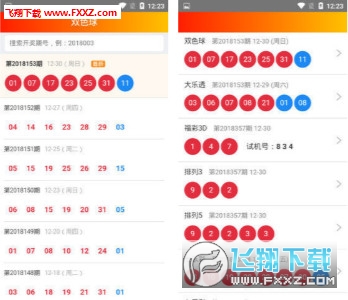 2025澳门王中王100%期期中,探索澳门王中王彩票游戏，2025年展望与期期中的秘密